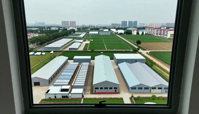 运维服务在业务实际应用中的转型与深化